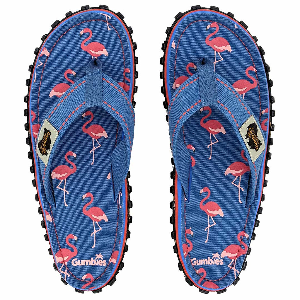 Clarks flamingo 2024 flip flops